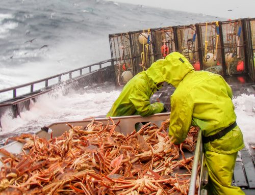 Sustainable Digital Marketing Lessons from A Crab Boat Captain!